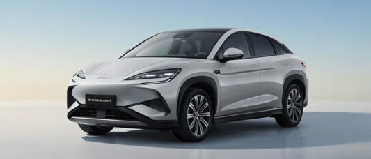 Chinese EV