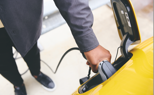Government failing its own electric fleet commitment