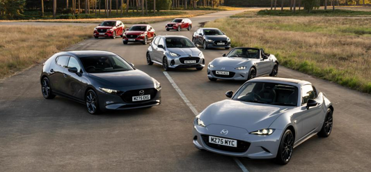 Finger on the Pulse – Fast Facts & Stats in Fleet