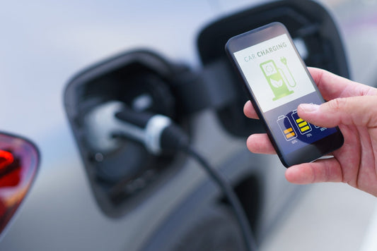 The Government launches ZEV mandate review
